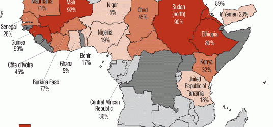 Female Genital Mutilation (FGM) In The Modern World