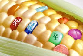 Do you know what's really in your food?